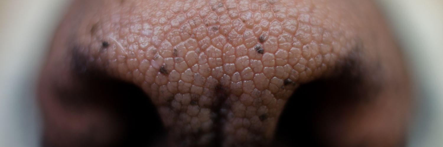 zelto's profile banner image