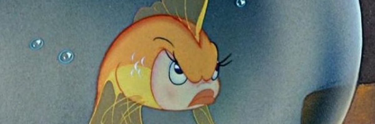 belrmonteiro's profile banner image