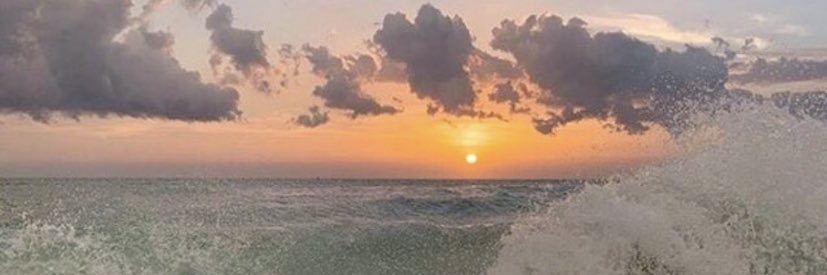 madelainep's profile banner image