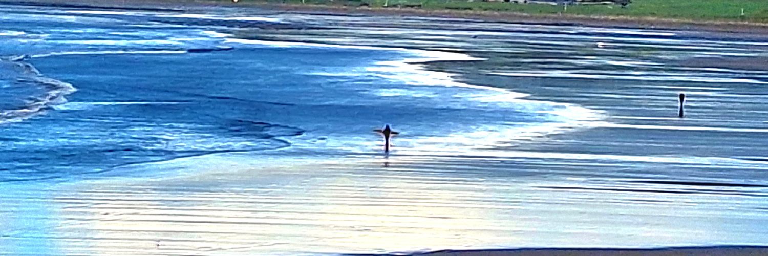 oonagh_purfield's profile banner image