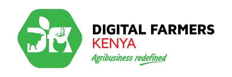 digitalfarmersK's profile banner image