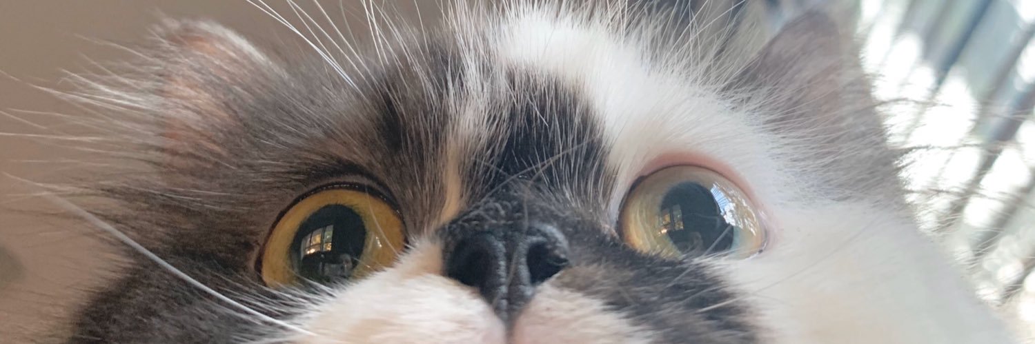 lookwhatustart's profile banner image