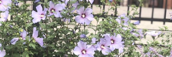 moniewxm Profile Banner