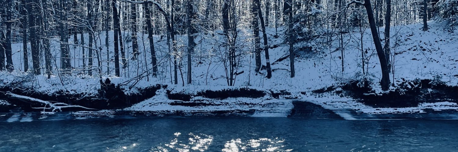 PhDisillusionment banner