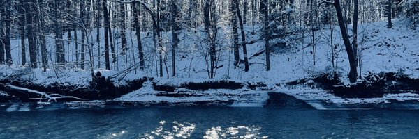 PhDisillusion Profile Banner