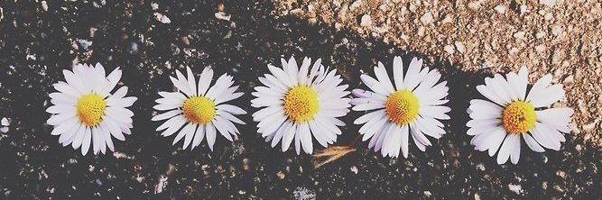 lalah_f's profile banner image
