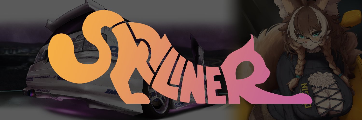 SkylinerPL's profile banner image