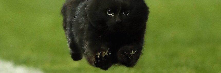 Aisling O'Riordan banner