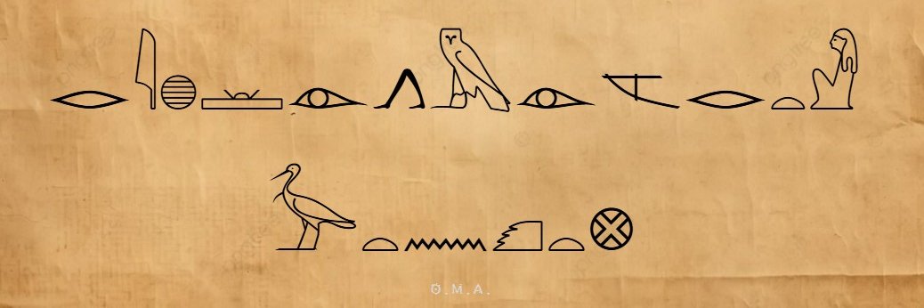 omnia_aljaml's profile banner image