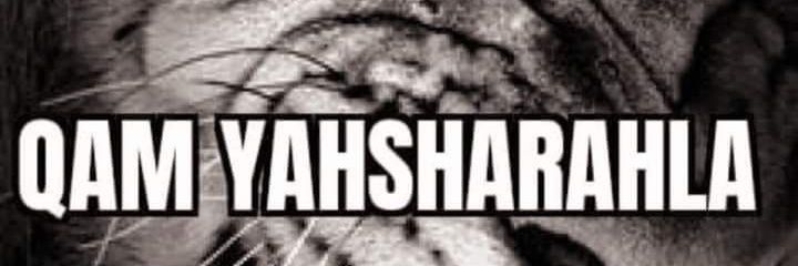 steveo1978651's profile banner image