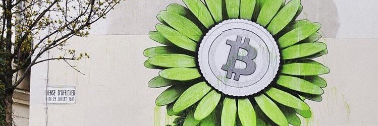 Crypto Phenom's banner