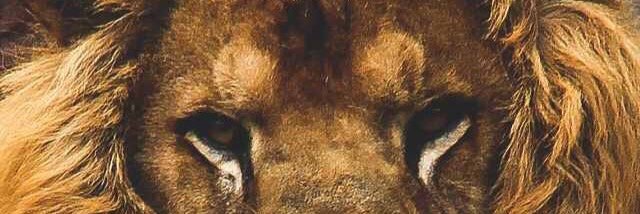 SoTrippy_'s profile banner image