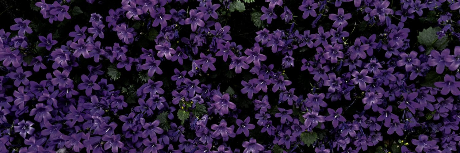 Si_ntp's profile banner image