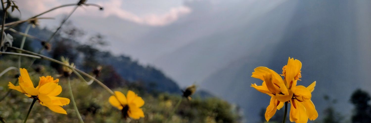 joy2ku's profile banner image
