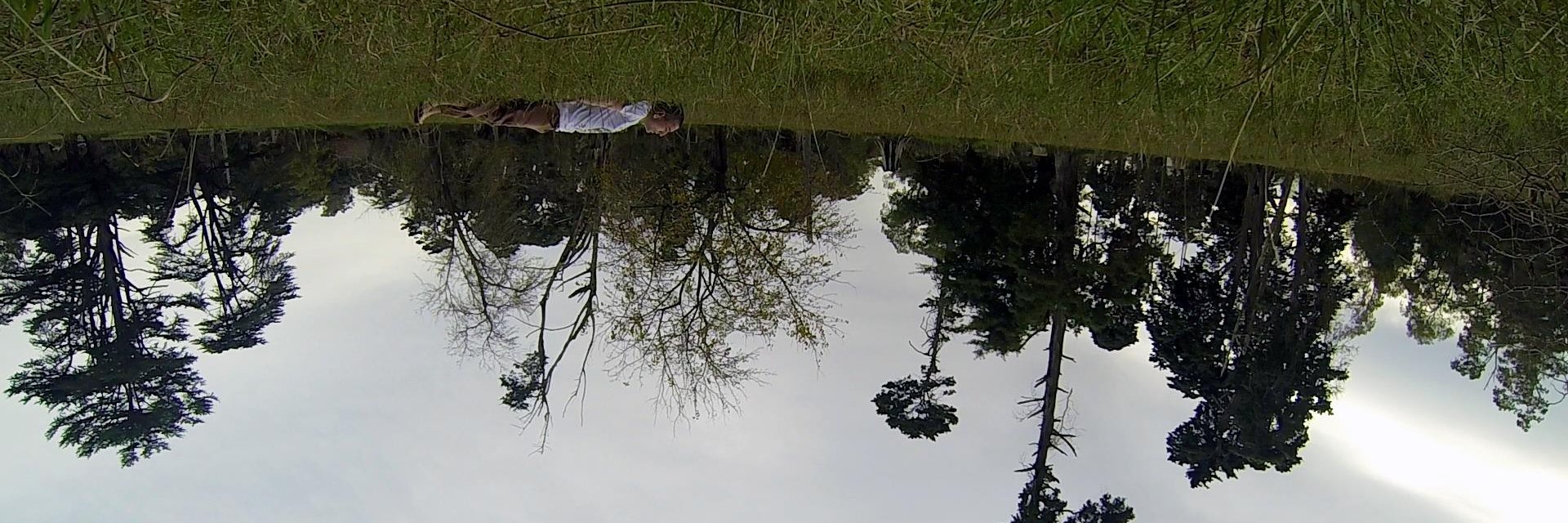 LecJackS's profile banner image