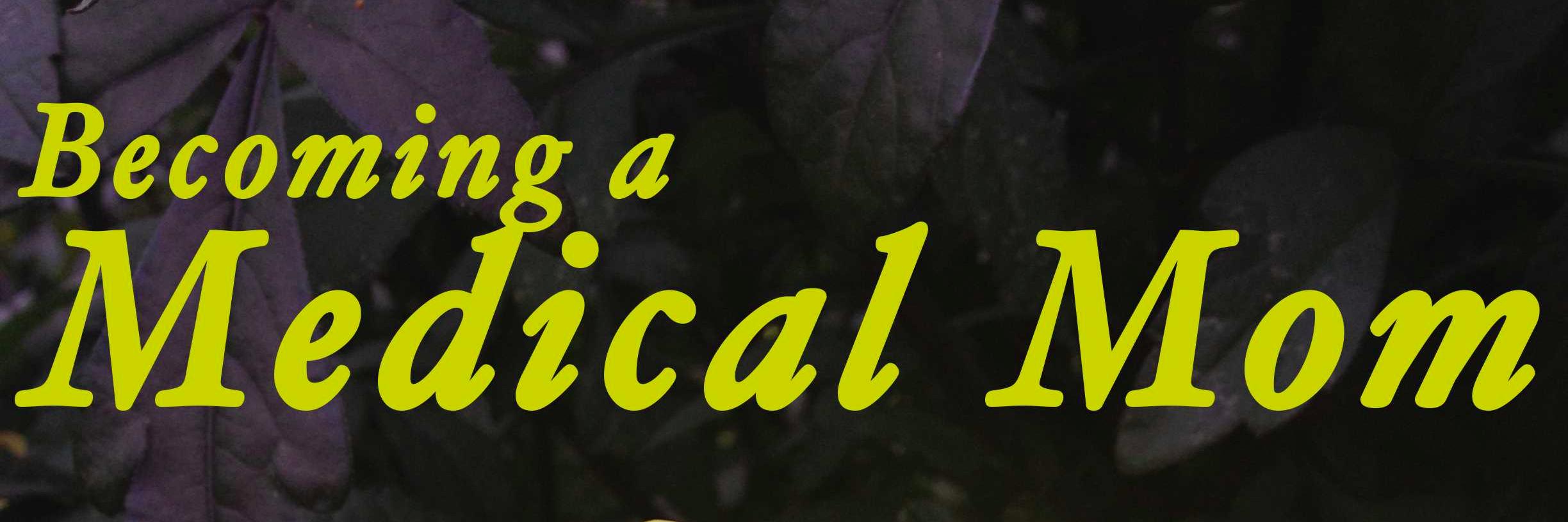 AshleyBergris's profile banner image