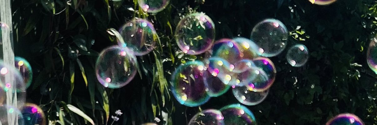 Dr. Susan Phoenix banner