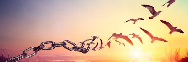 DanielCordovaC Profile Banner