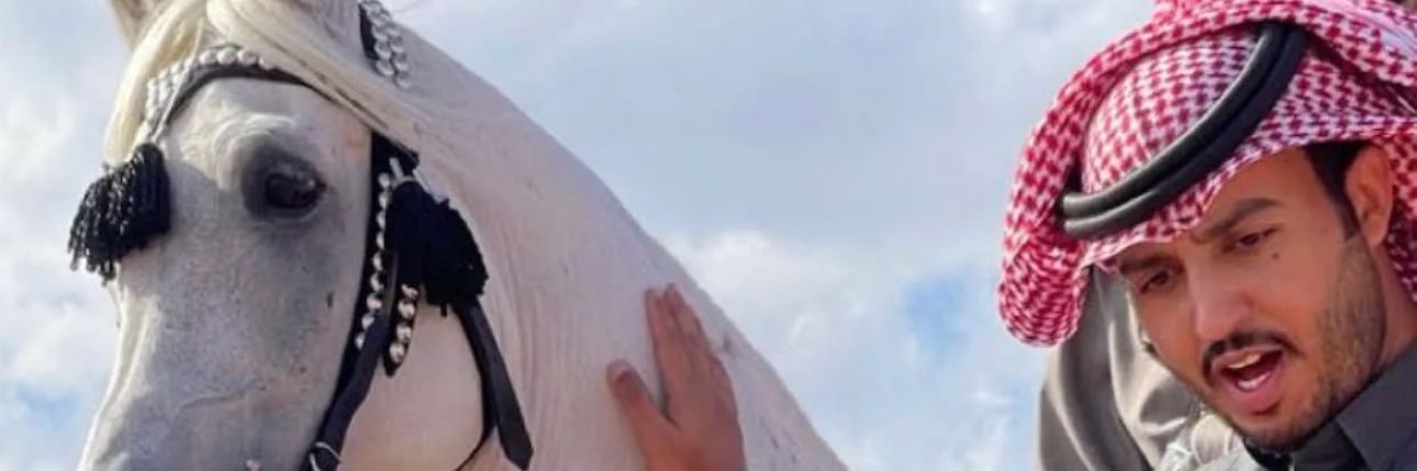 nsr788's profile banner image