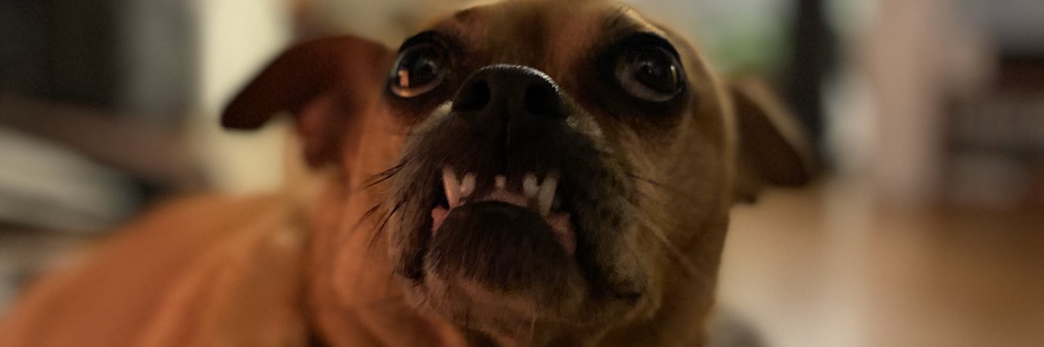 spkeyeslevine's profile banner image
