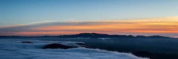 guttonm Profile Banner