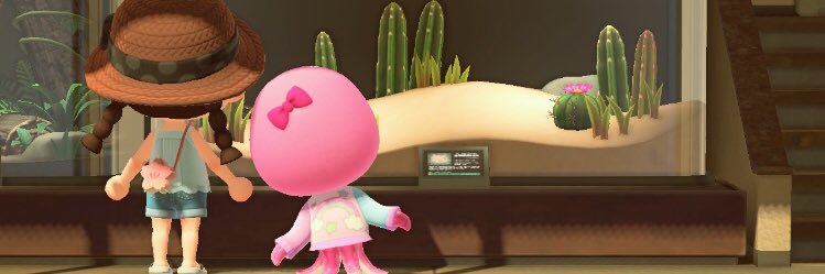 sroncali23's profile banner image