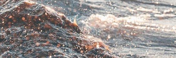 #iLikeLexx❤ banner