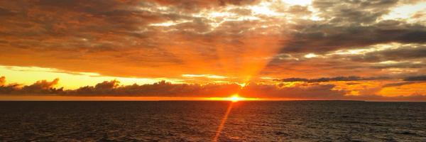 markpg101 Profile Banner