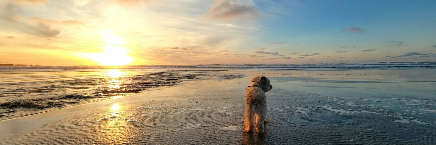 Heather Weber banner