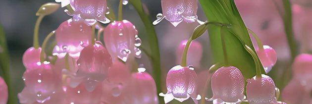 ____Minx's profile banner image