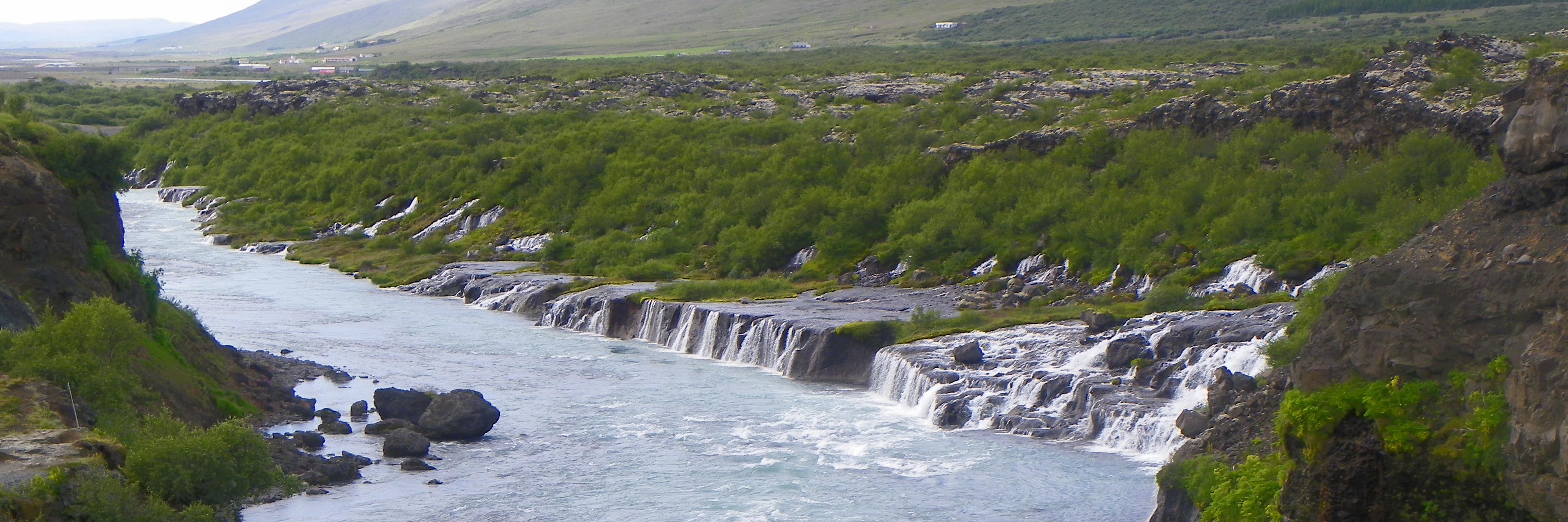 Michael Hoult banner