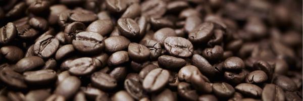 rabbitroasting Profile Banner