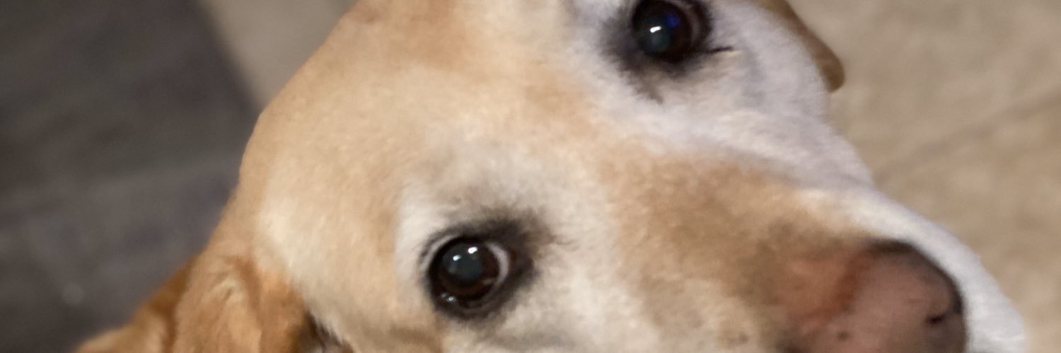 PrinceAlbertPT's profile banner image