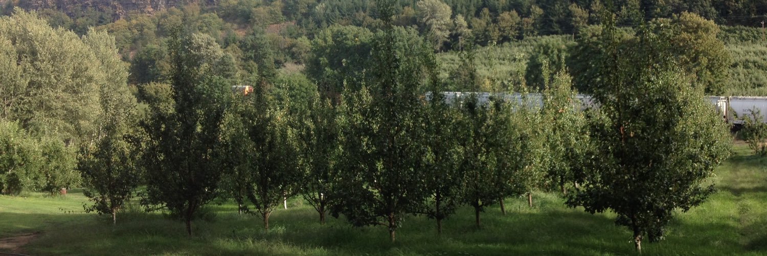 JSWineCider's profile banner image