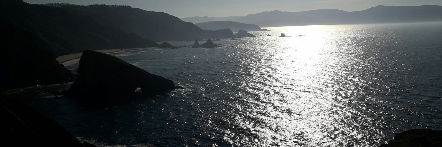 MoFinsG's profile banner image