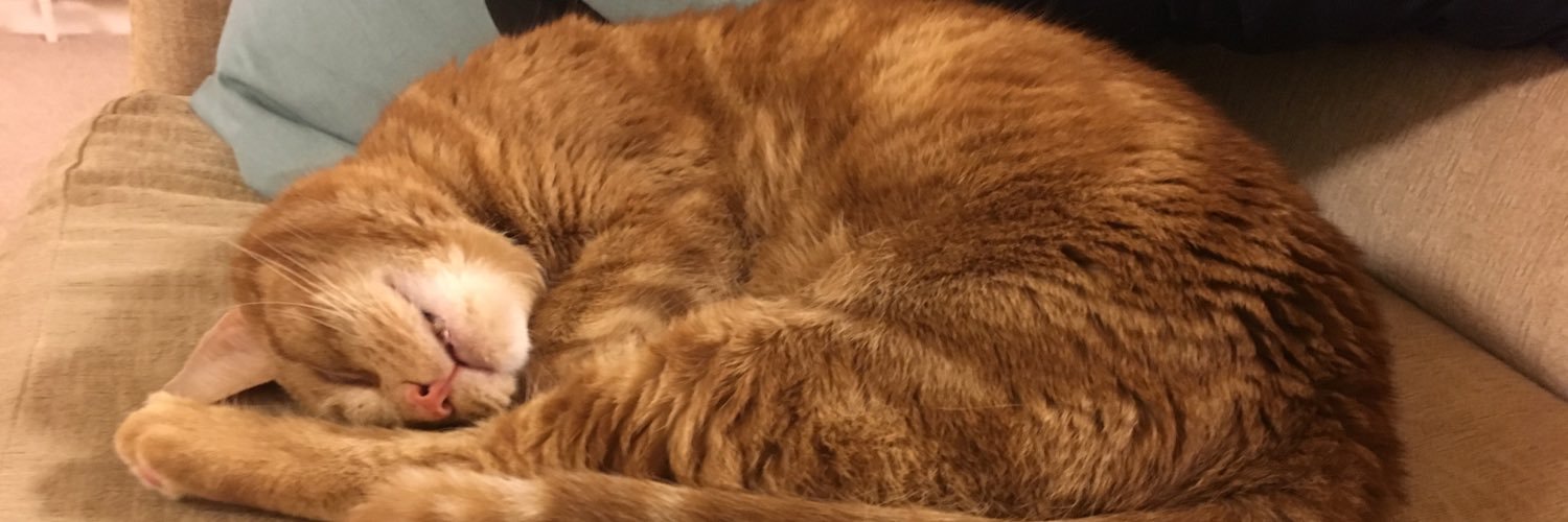 NiaTalbot's profile banner image