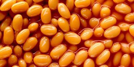 FoxBeans's profile banner image