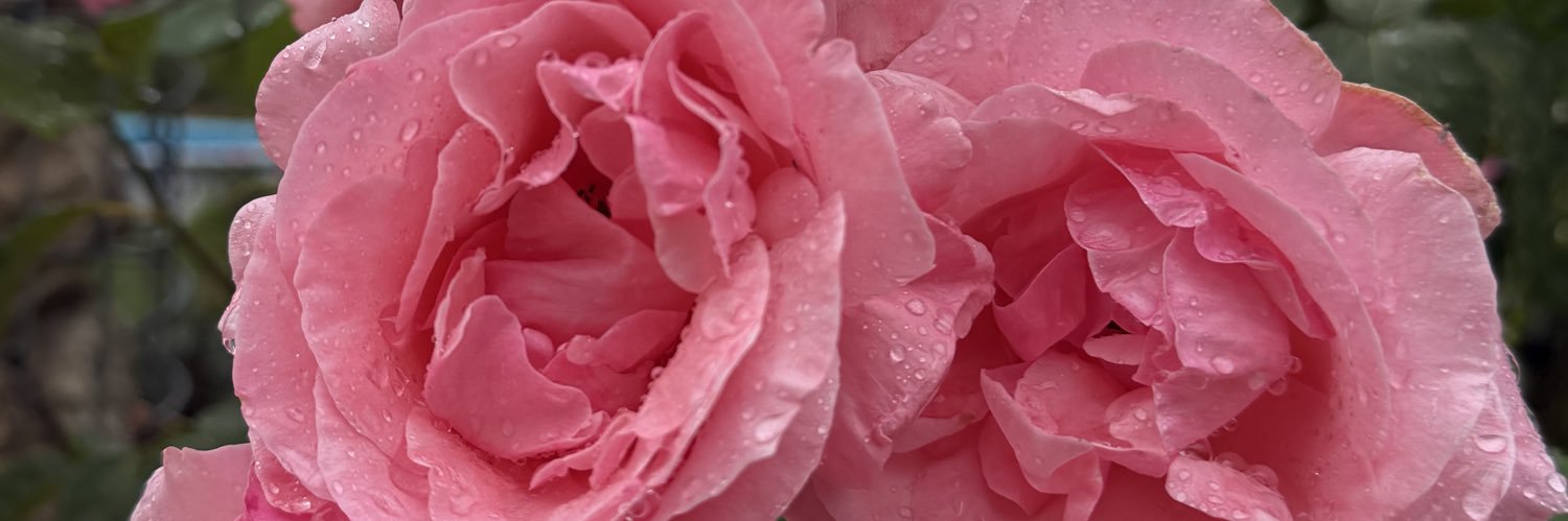 blhnfi's profile banner image