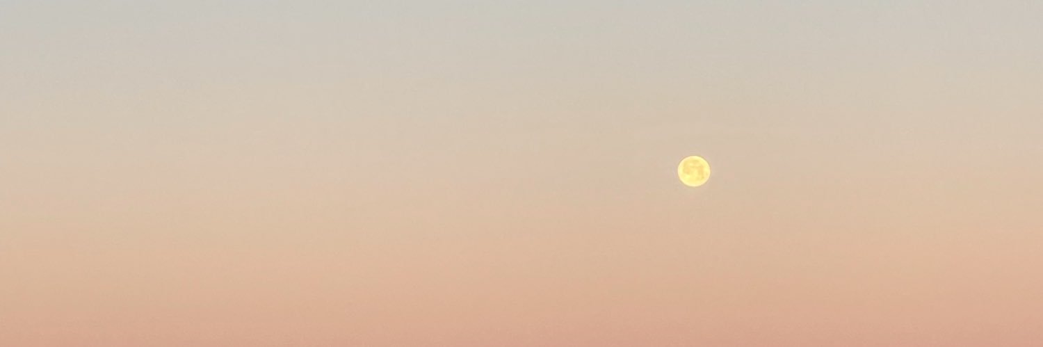 Pablo banner