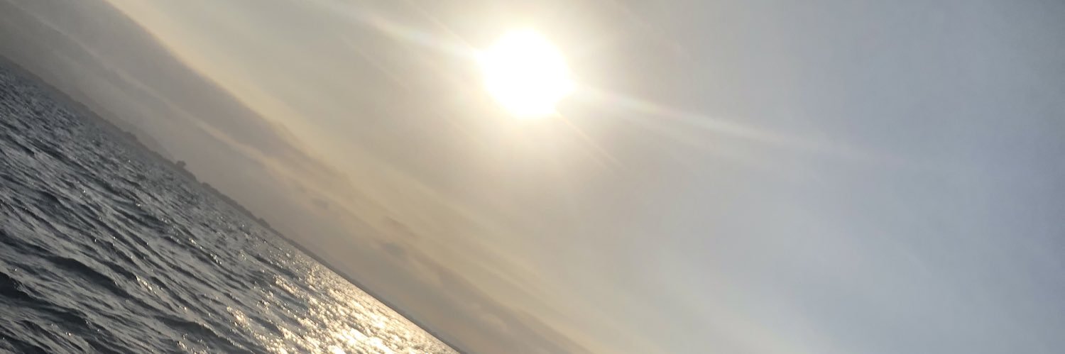 haycesam banner