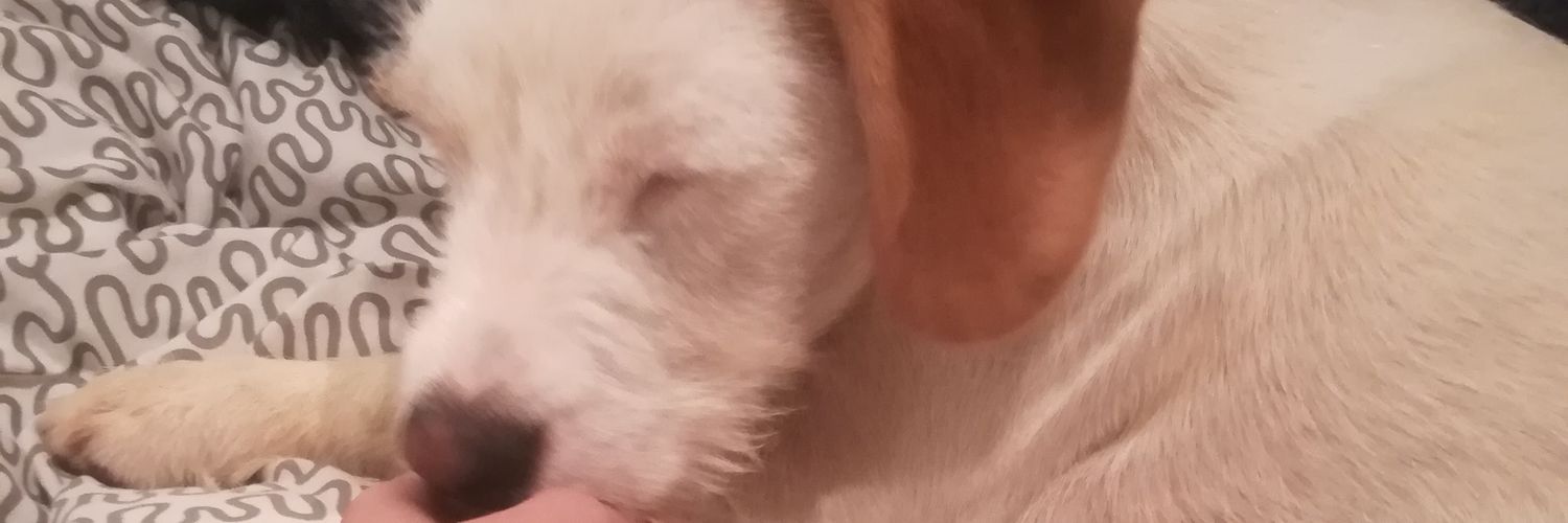 Apeeeeeeel's profile banner image