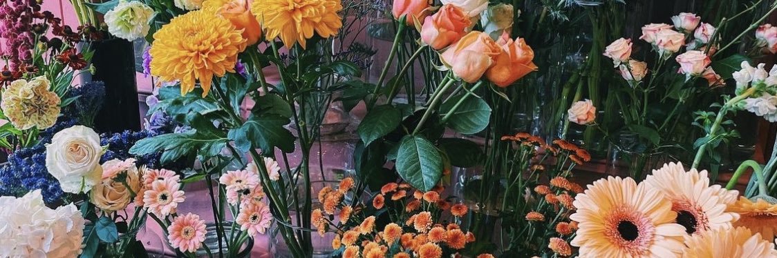 katkelley26's profile banner image
