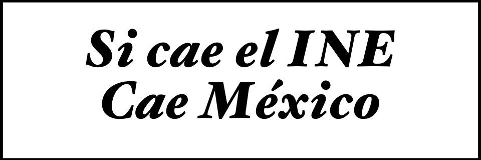 Patricia Fox Lozano banner