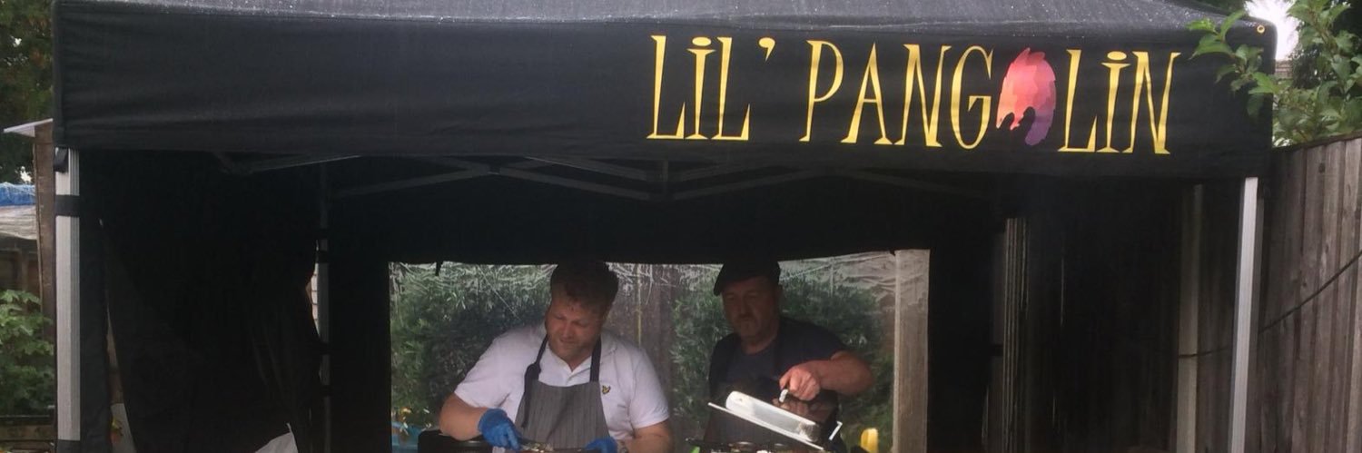 Lilpangolin1's profile banner image
