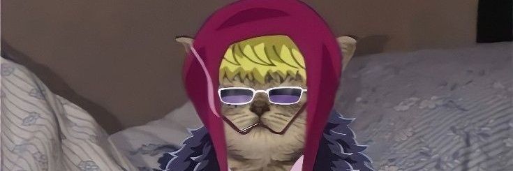 xD0na_'s profile banner image