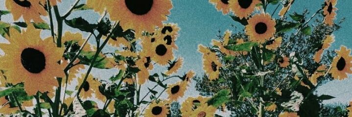 psmjxpcy's profile banner image