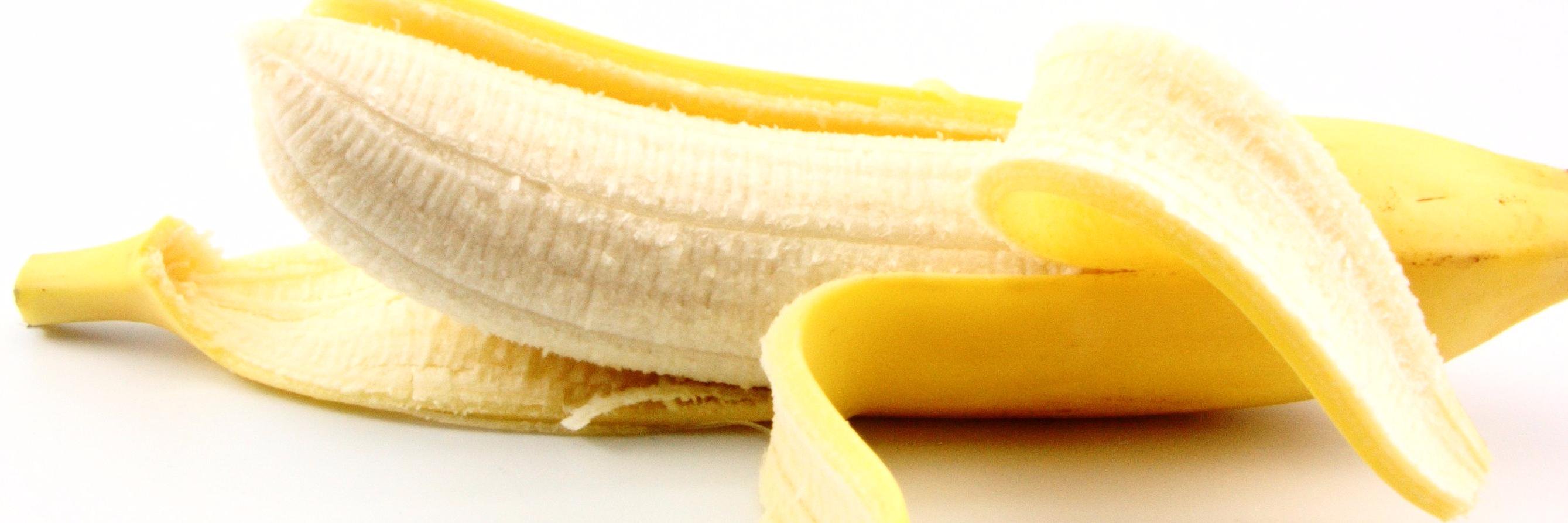 Monkey Test it banner