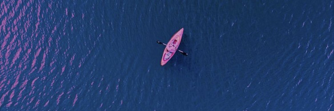 drylmarie's profile banner image