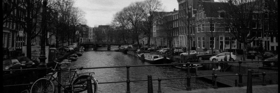 cara0204's profile banner image