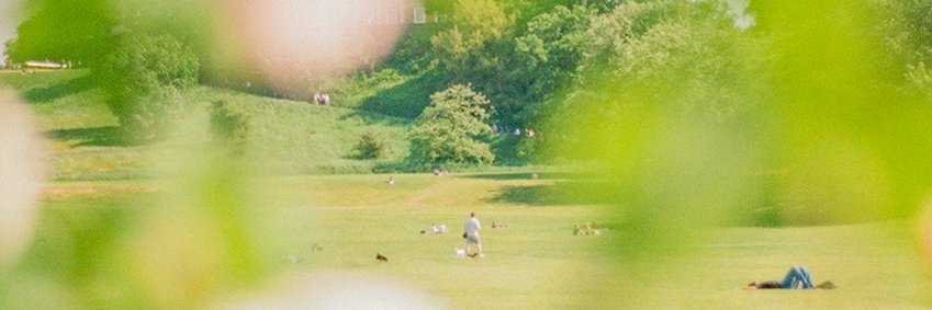 shosemin's profile banner image